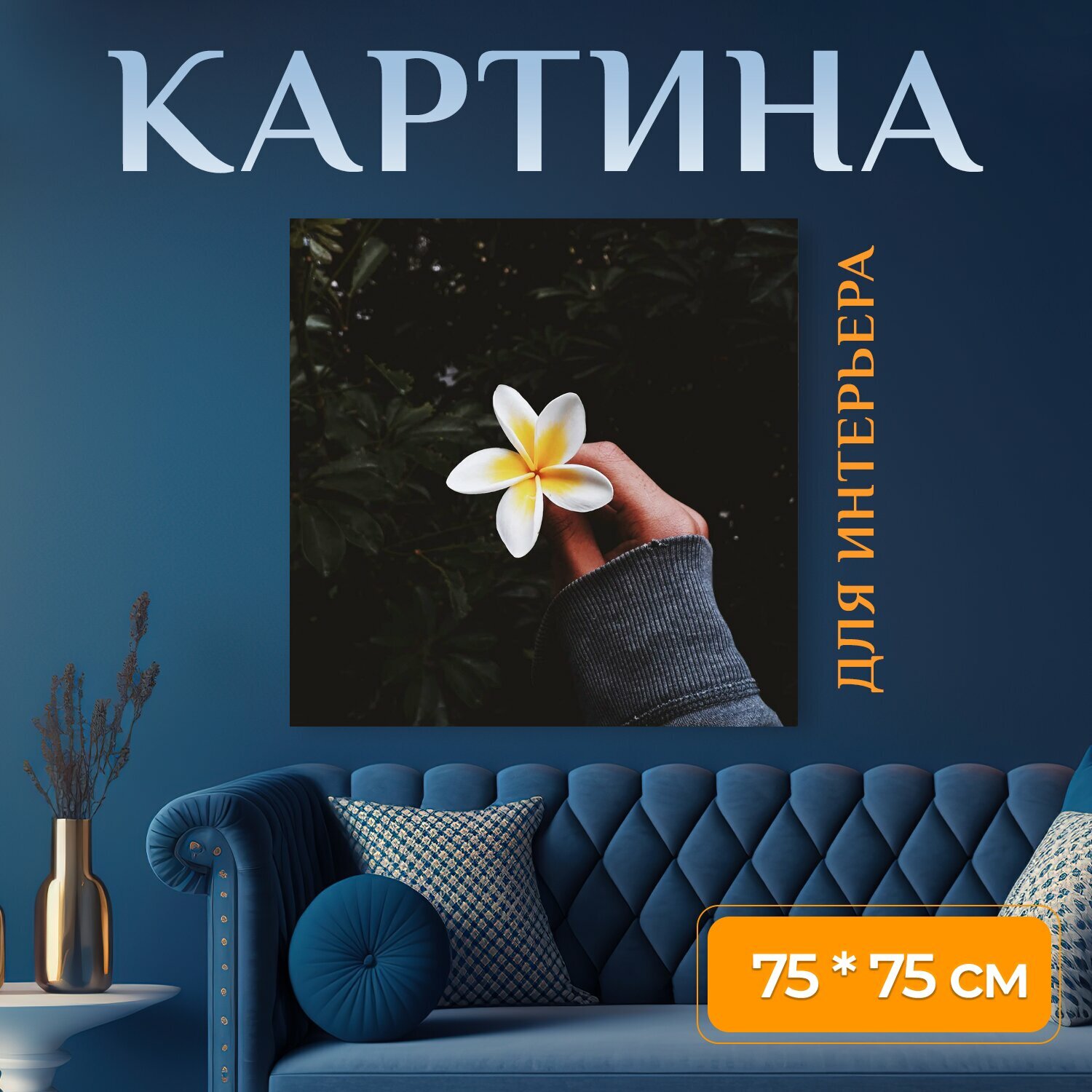 Картина на холсте "Цветок, природа, бразилия" на подрамнике 75х75 см. для интерьера