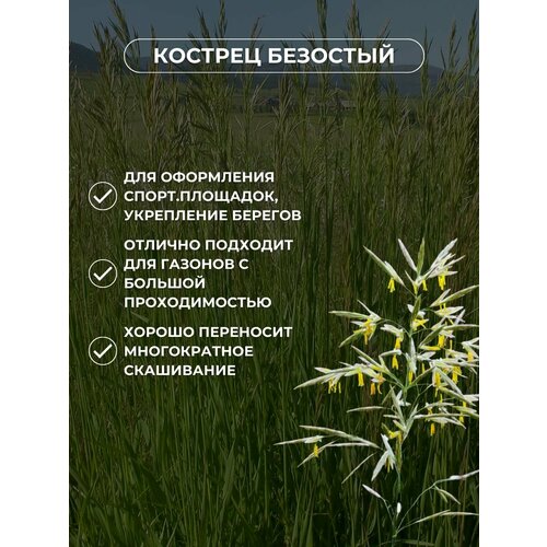 Семена Костреца Безостого 5кг Зеленый Метр