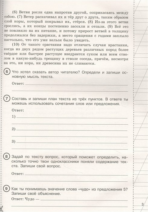 Русский язык за курс начальной школы. Интенсивный курс подготовки к ВПР - фото №11