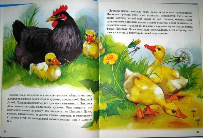 Рассказы о животных малышам (Пришвин Михаил Михайлович) - фото №18