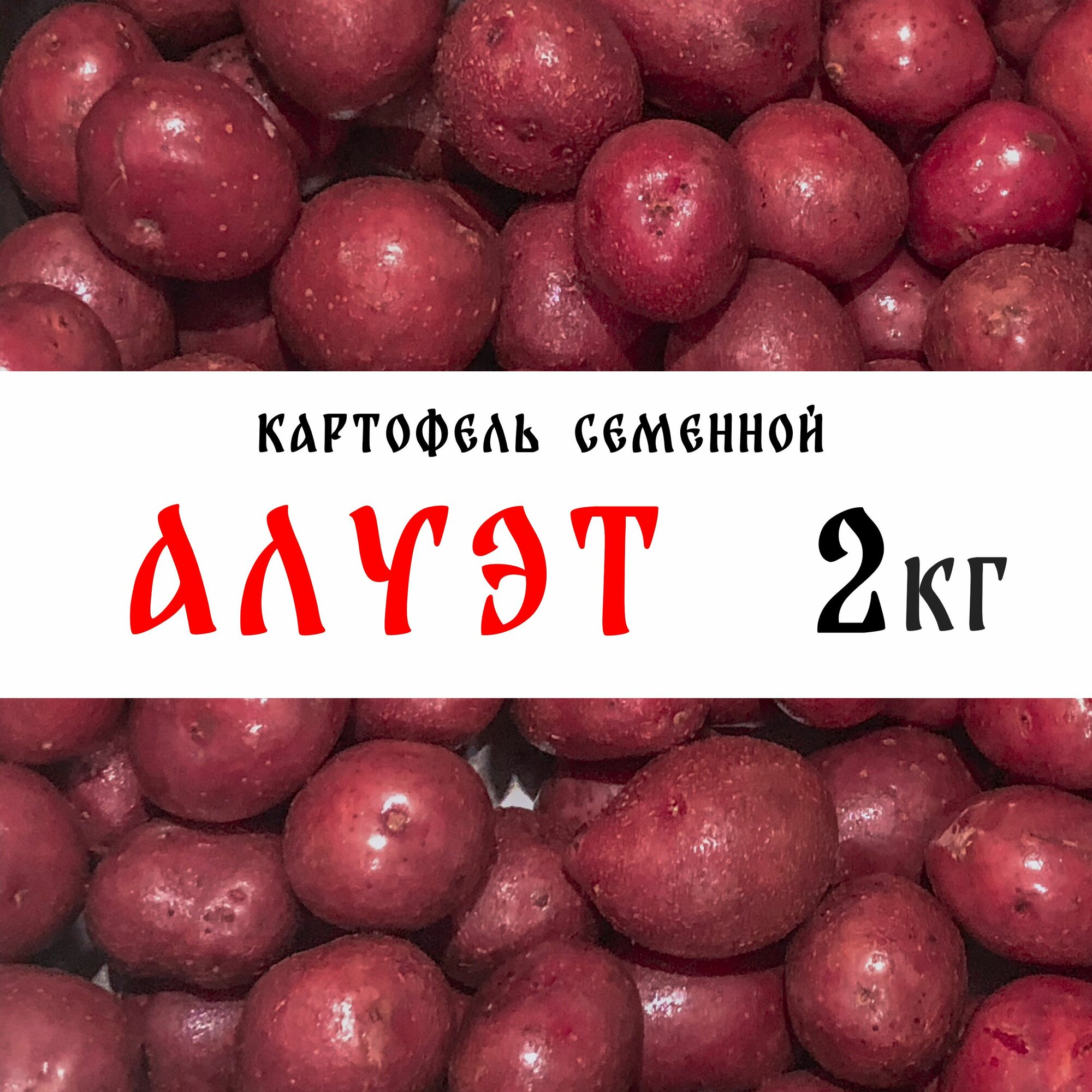 Семенной картофель сорта 