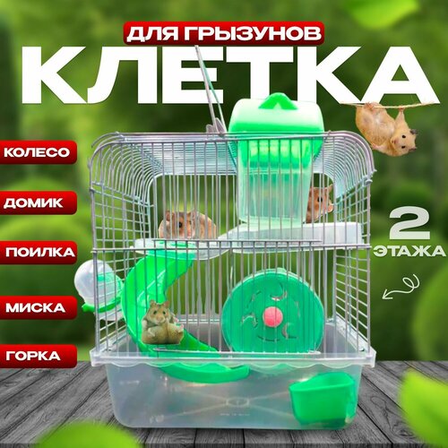 Клетка для мелких грызунов Мини прозрачная WetNose разборная эмаль 230170300 мм Для хомяков мышей песчанок крыс 1699₽