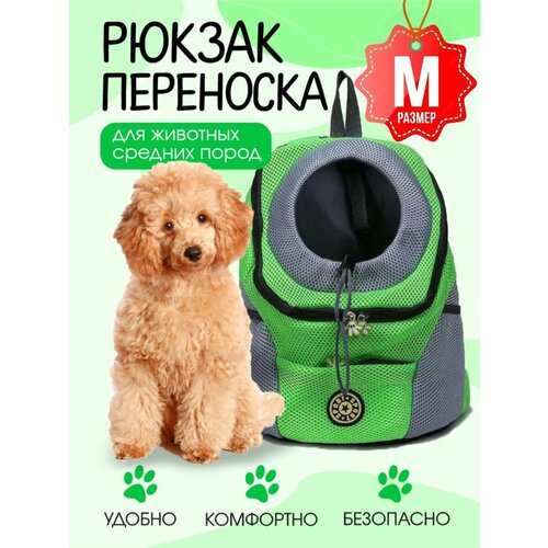 Рюкзак переноска для собак и кошек зеленая