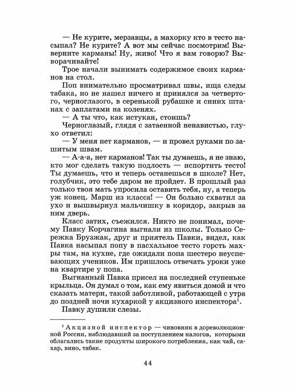 Как закалялась сталь (Островский Николай Алексеевич) - фото №4