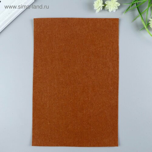 Фетр мягкий 1 мм 20х30 см коричневый 10шт 572₽