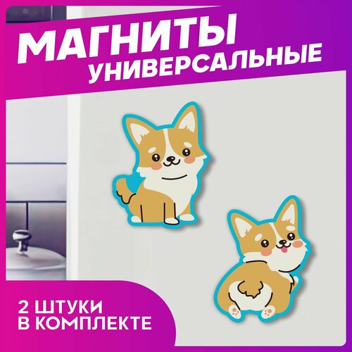 Магниты для доски Корги 280₽