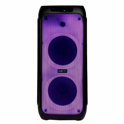 Колонка Denn DPS555 2375000₽