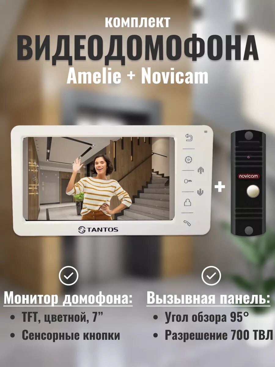 фото (Комплект) LEGEND SILVER ver.4487 - вызывная панель + Tantos Amelie (white)