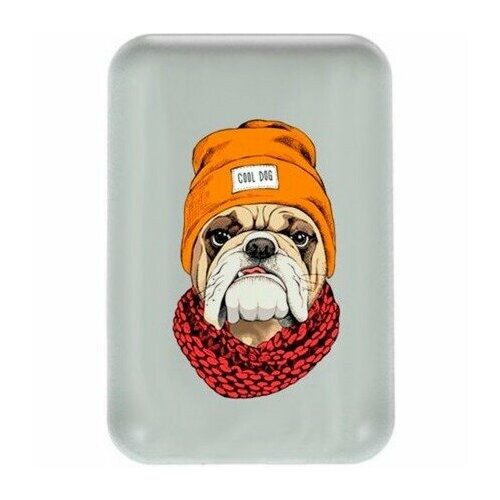 Внешний аккумулятор Ritmix RPB-10007 Bulldog 2083₽