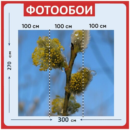 Фотообои Ива желтый тычинок 300x270 см флизелиновыена стену 3970₽