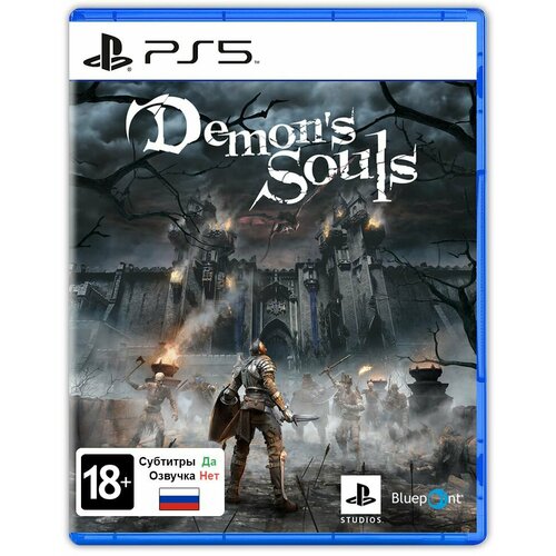 Игра Demons Souls (PlayStation 5, Русские субтитры)