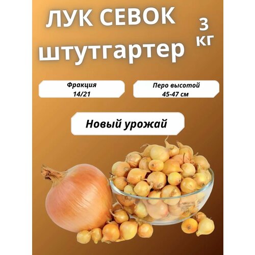 Лук севок Штутгартер Ризен 3 кг