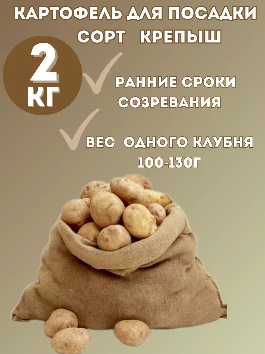 ОгородNIK Картофель семенной Крепыш однолетний раннеспелый сорт 2 кг