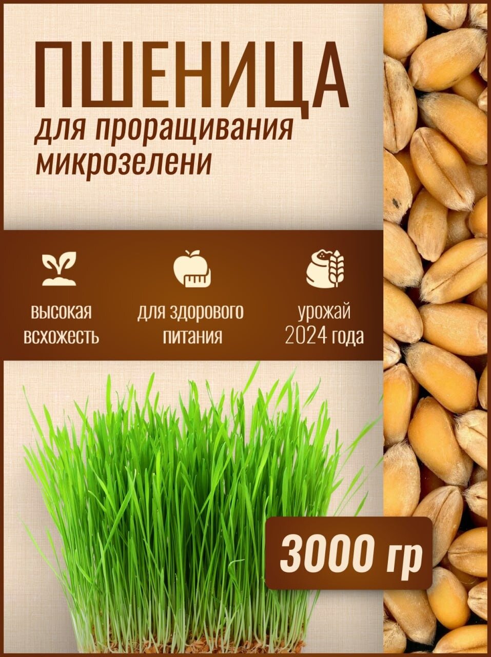 Пшеница для микрозелени  Ясени   3 кг