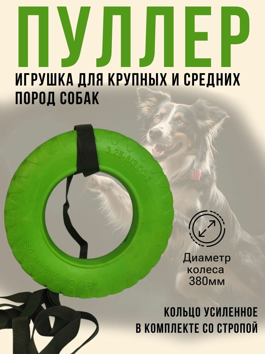Игрушка пуллер Колесник "Кольцо", для собак, тренировочная, цвет салатовый