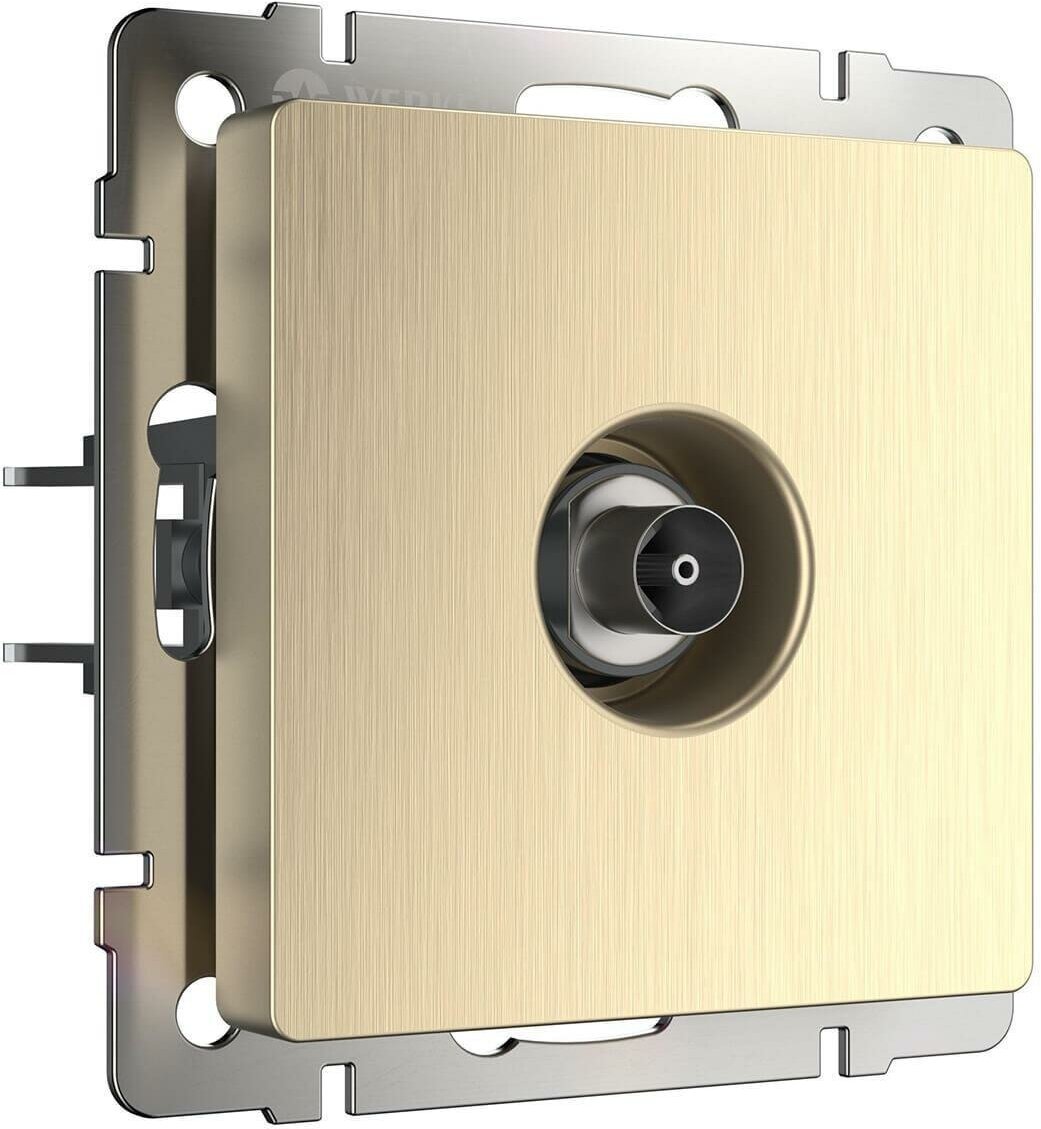 ТВ-розетка Werkel оконечная шампань рифленая WL10-TV