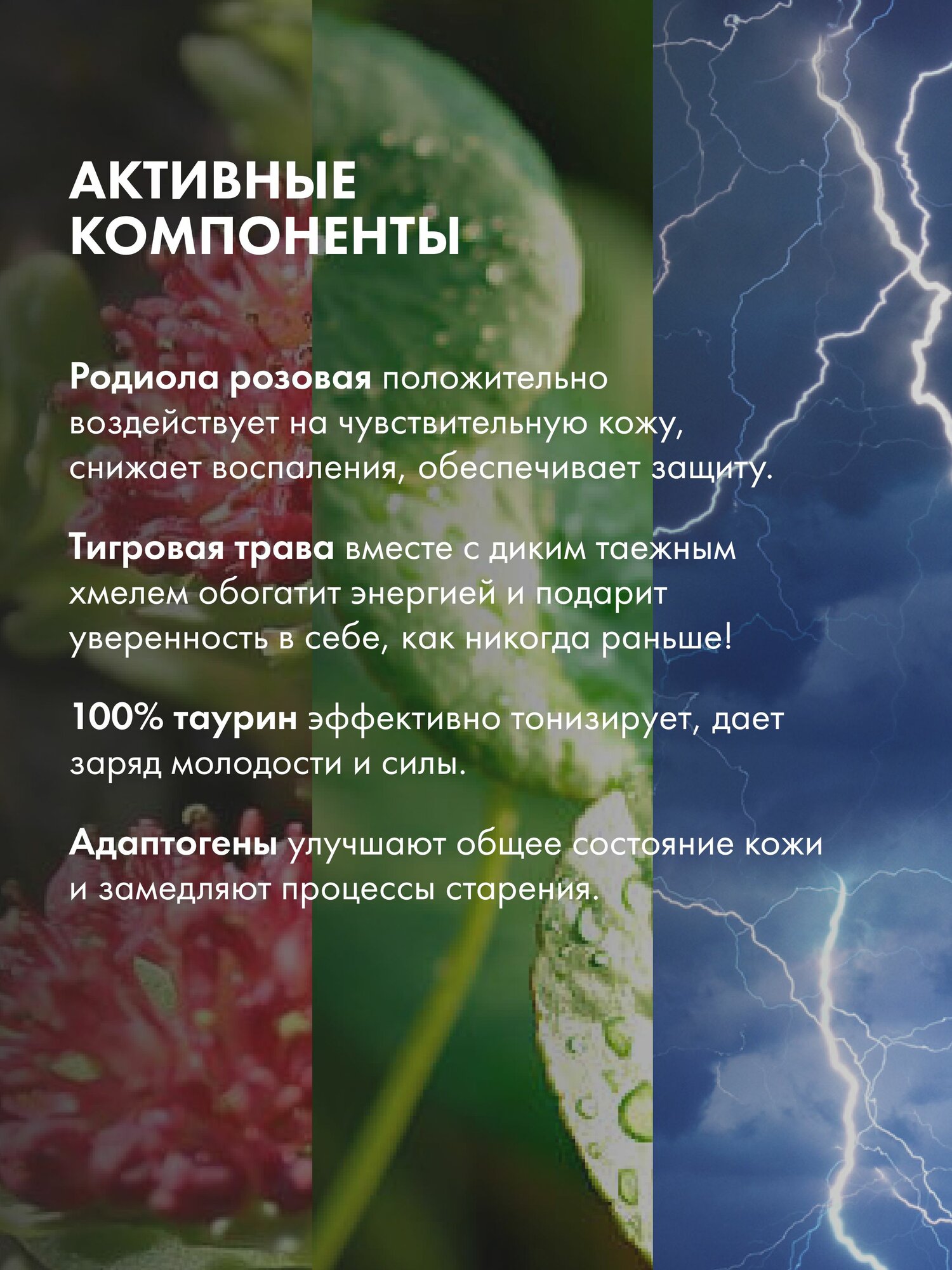 Крем Для Лица Мужской Natura Siberica MEN Энергия тигра Освежающий скраб для лица мужской от отеков очищающий, отшелушивающий антивозрастной 150 мл