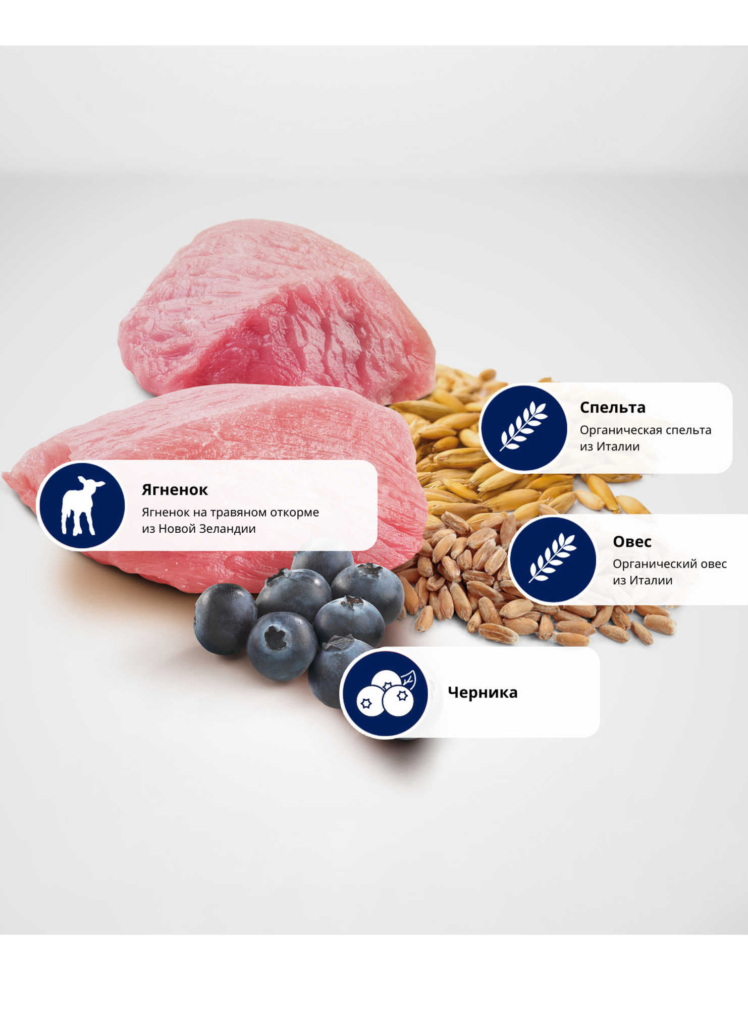 Сухой корм Farmina N&D Ancestral Grain Lamb & Blueberry Adult, для взрослых кошек, низкозерновой, ягненок с черникой, 5кг — фото 1