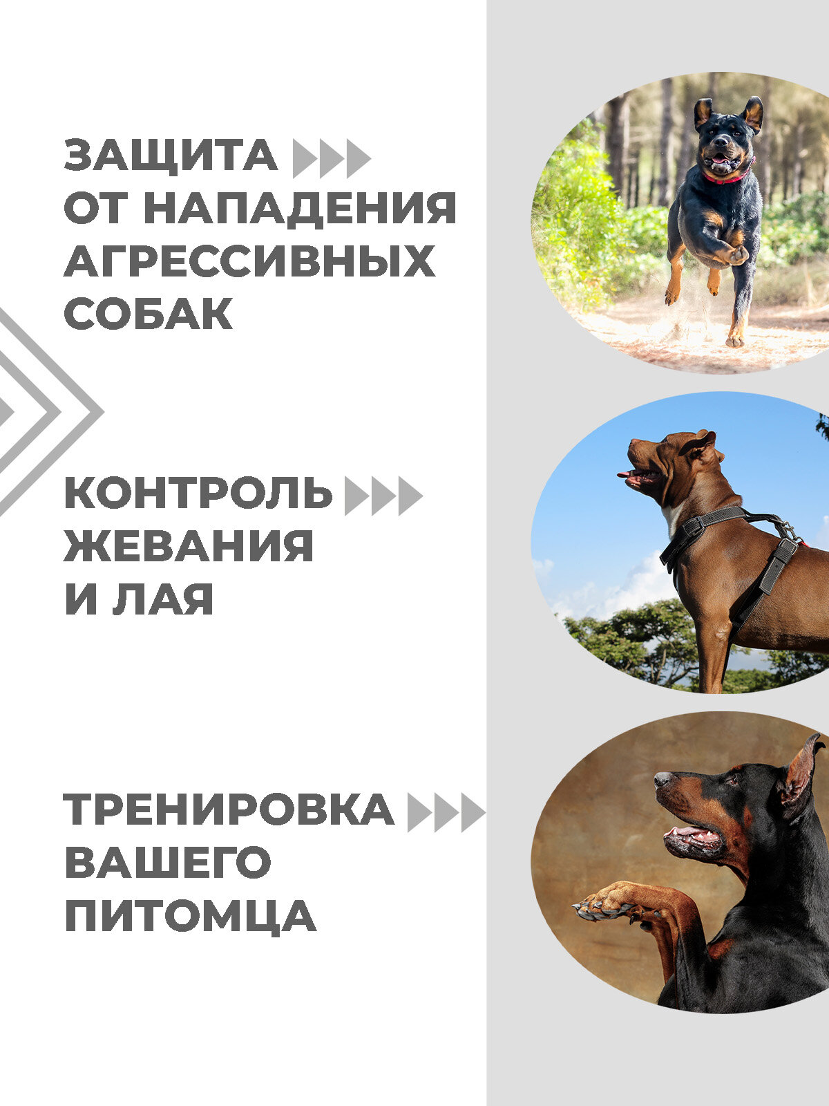 Отпугиватель собак ультразвуковой Boomshakalaka с фонариком, c функцией дрессировки, для защиты от животных — фото 1