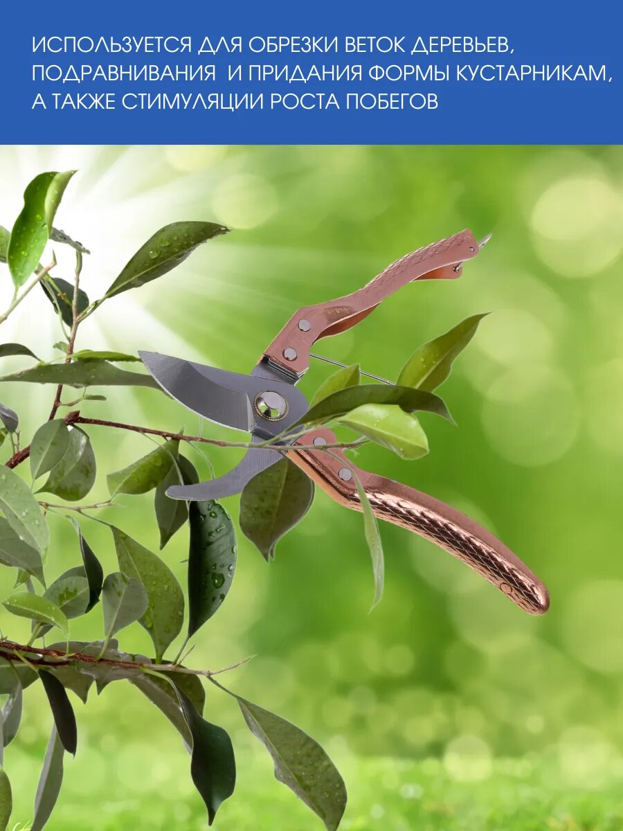 Секатор Inbloom, пружинный механизм, фиксатор лезвий, антикоррозийное покрытие, бронза — фото 1