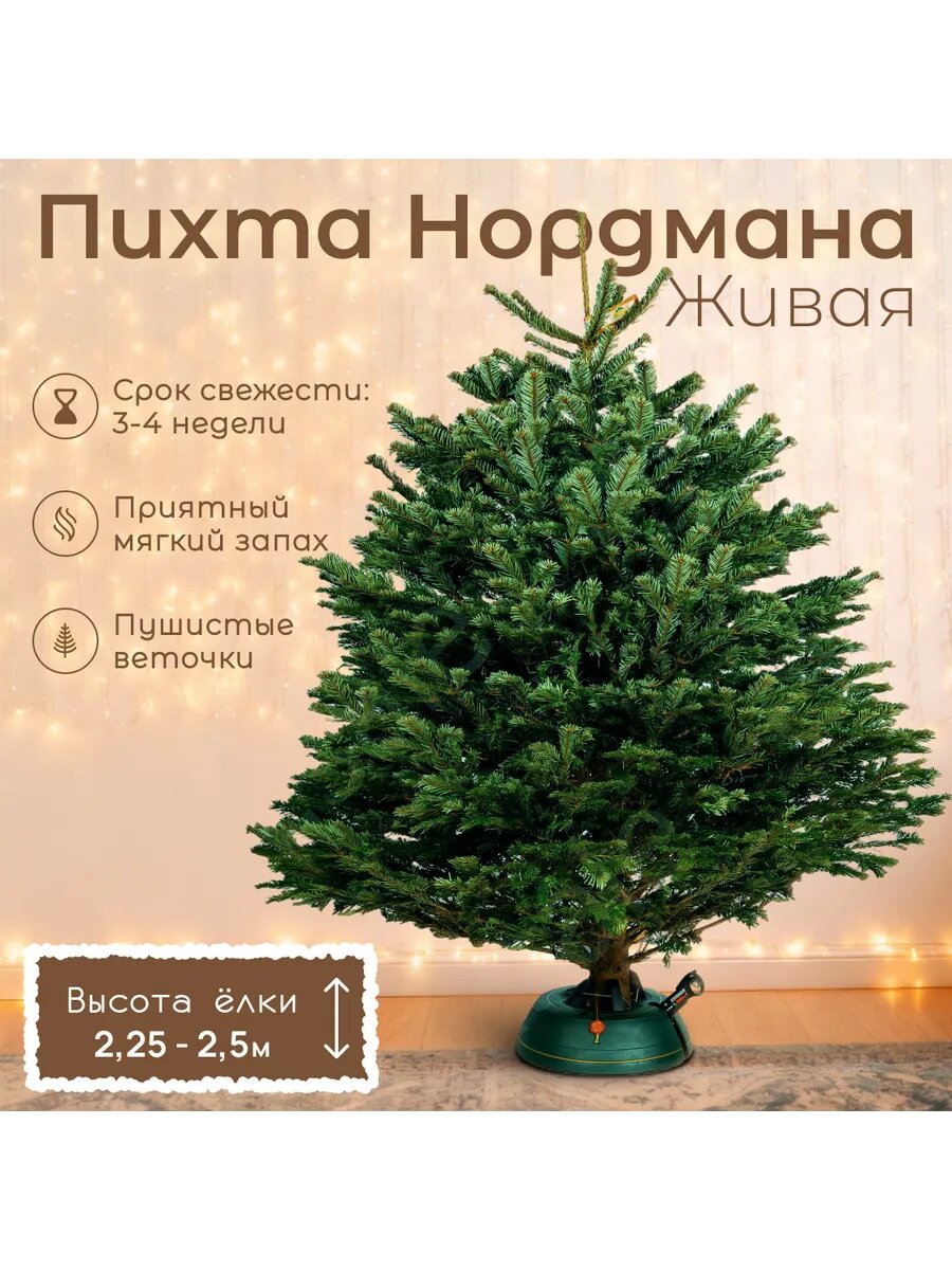 Новогодняя ёлка живая Пихта Нордмана ELKI SALE 225 - 25 м