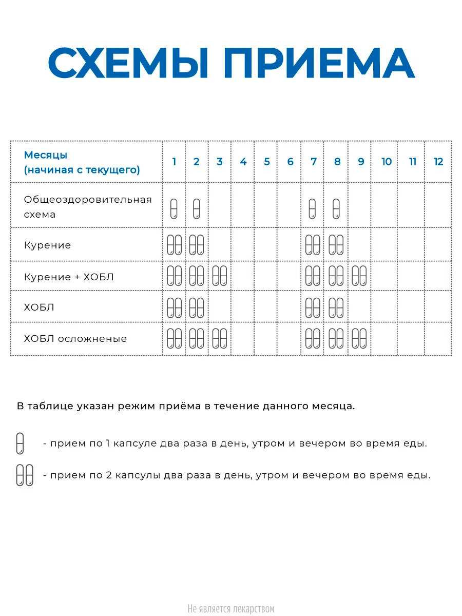 Бронхоген капс., 40 г, 60 шт., нейтральный, 1 уп.