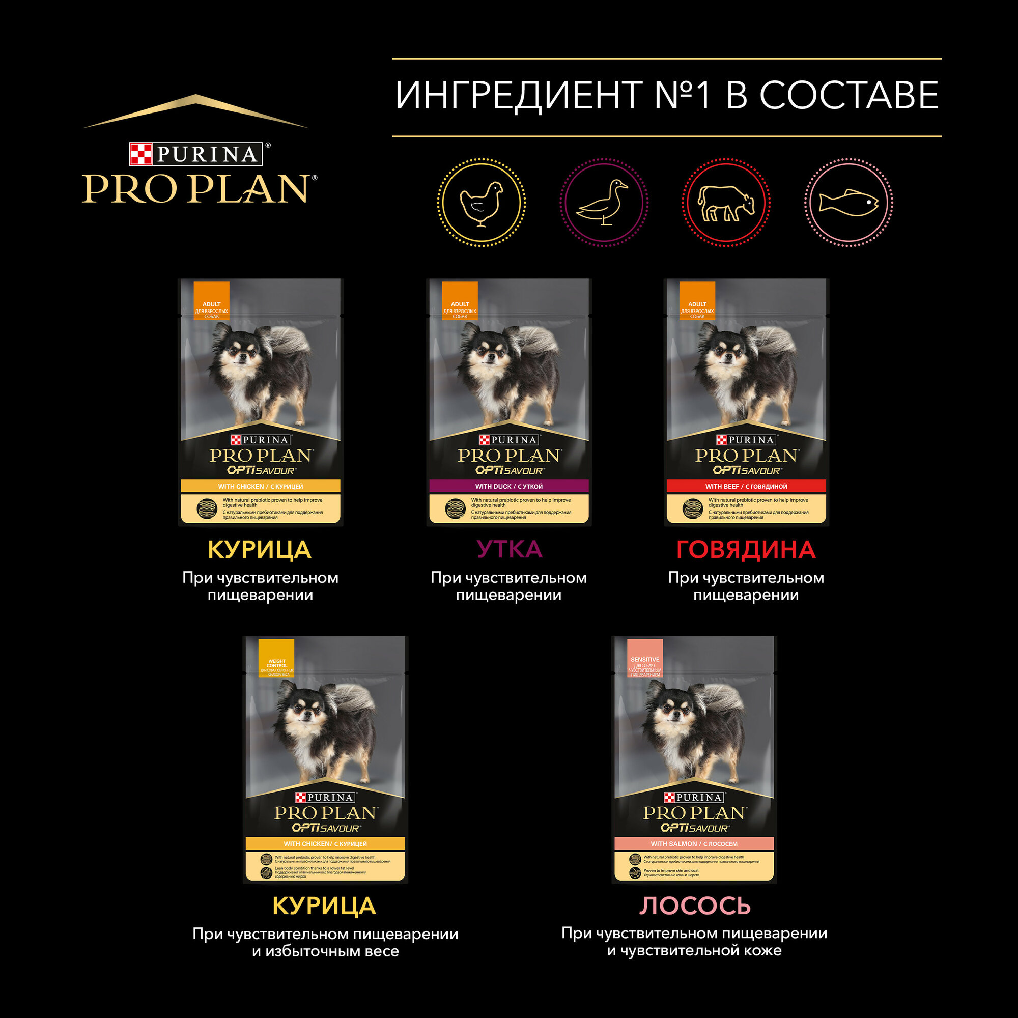 Влажный корм Purina ProPlan для склонных к набору веса собак мелких и карликовых пород, курица в соусе, 85гр - фото №2