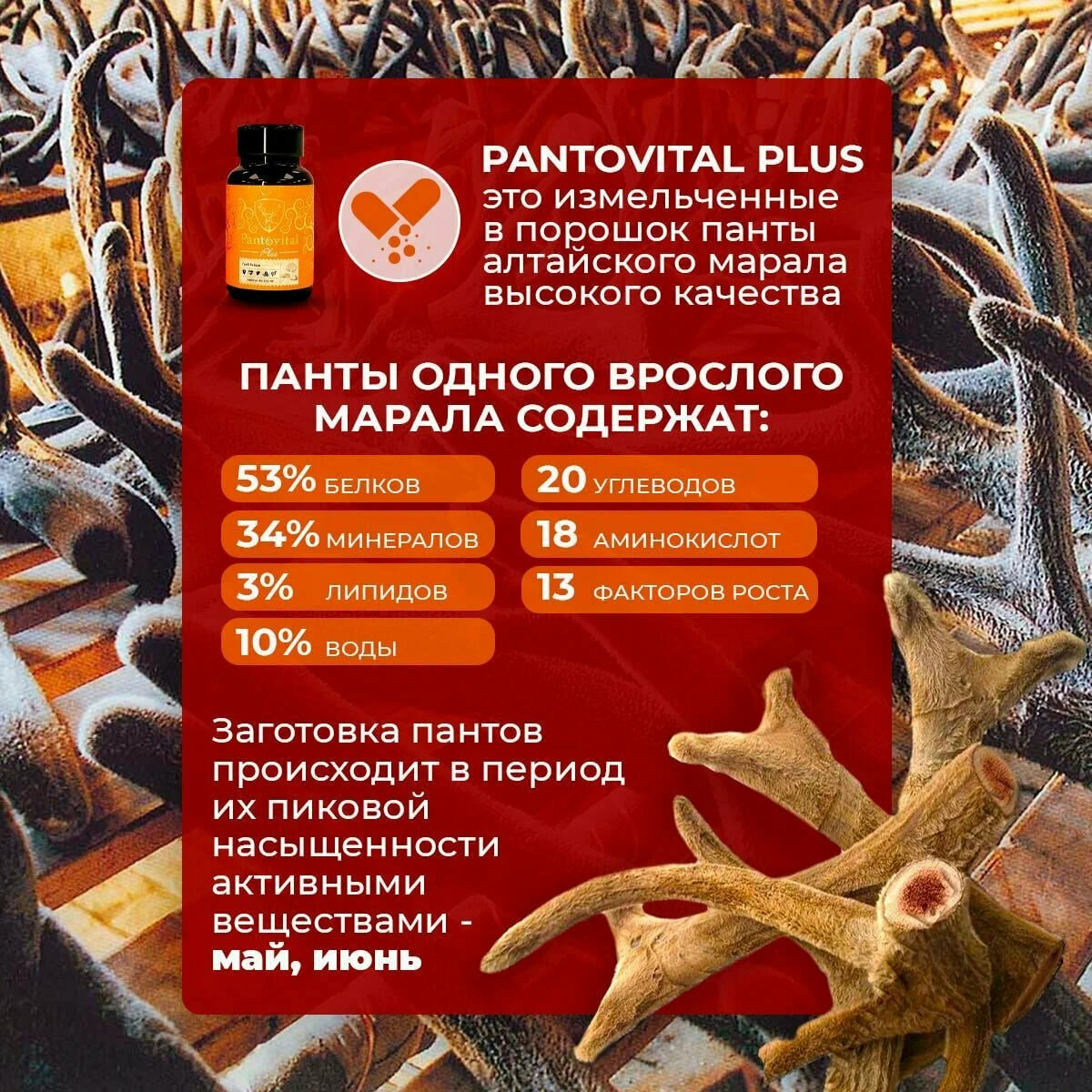 Гомеопатические Препараты Для Повышения Иммунитета Пантовитал+ Гриб Рейши, для иммунитета, профилактика ОРВИ и гриппа, антиоксидантная защита, 30 капс.