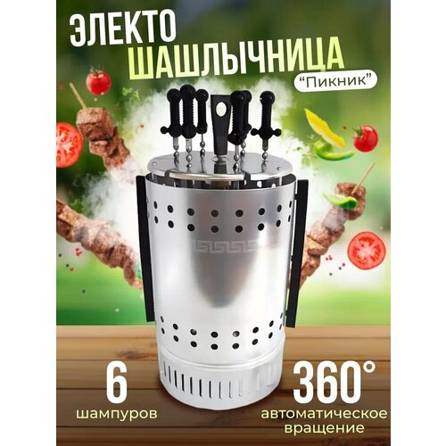 Электрошашлычница Пикник ЭШВ-125220 518000₽