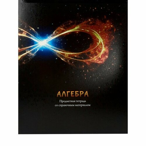 Тетрадь предметная Магия 48 листов в клетку Алгебра обложка мелованный картон холодная фольга твин лак блок офсет 297₽