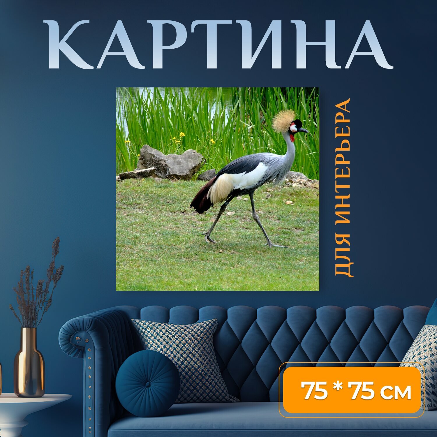 Картина на холсте "Птица, дикая природа, природа" на подрамнике 75х75 см. для интерьера