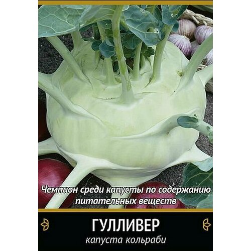 Семена Капуста кольраби Гулливер
