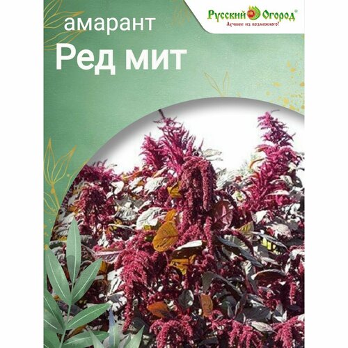 Семена растения амарант ред мит