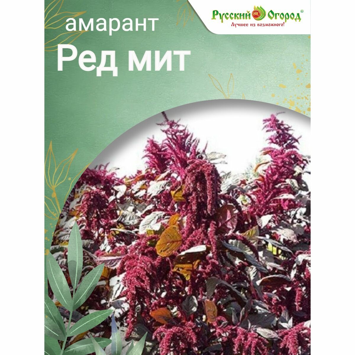 Семена амаранта 