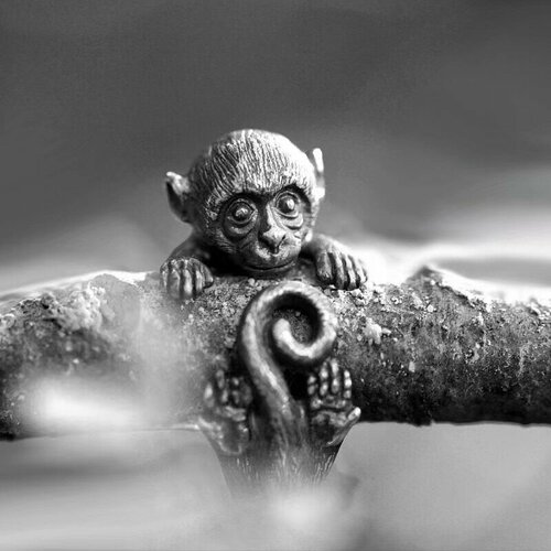 Печатка, безразмерное, серебристый