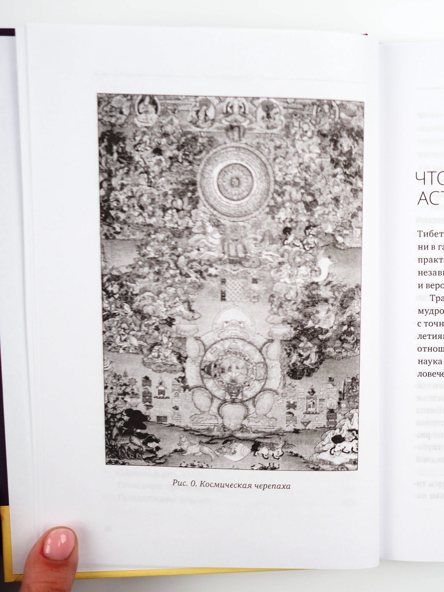 Тибетская астрология и психология личности. Книга 2: Тайны рождения - фото №8