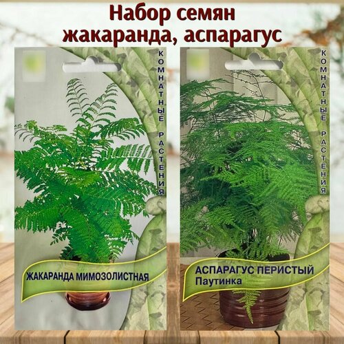 семена многолетних комнатных растений аспарагус и гревиллея набор 2 уп Семена растений для дома Жакаранда и Аспарагус набор 2 уп.