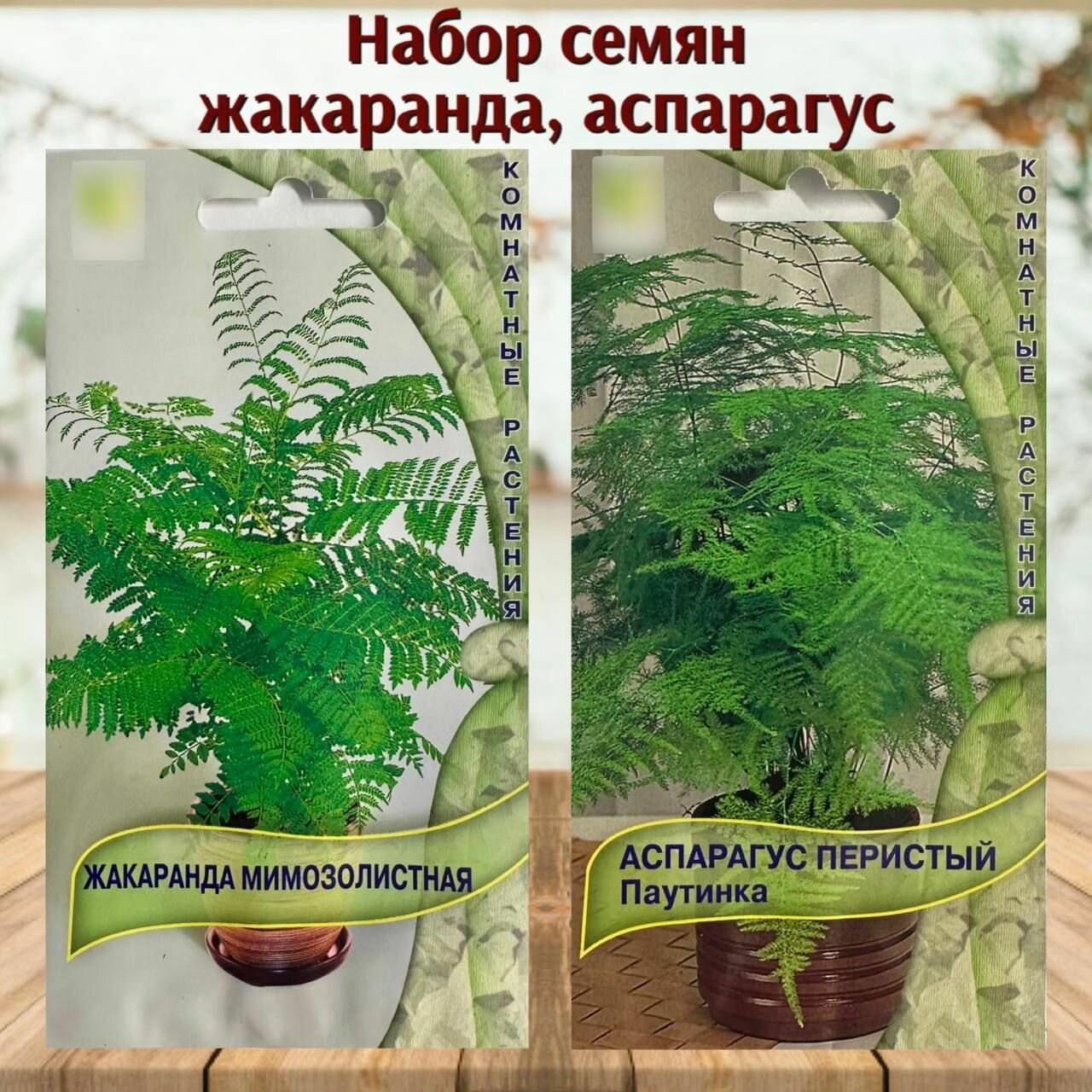Семена растений для дома Жакаранда и Аспарагус набор 2 уп.