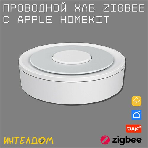 Проводной хаб Zigbee с Apple HomeKit / Zigbee-шлюз беспроводной сетевой смарт хаб rubrum tuya wi fi мост для удаленного управления через приложение работает с alexa google home assistant