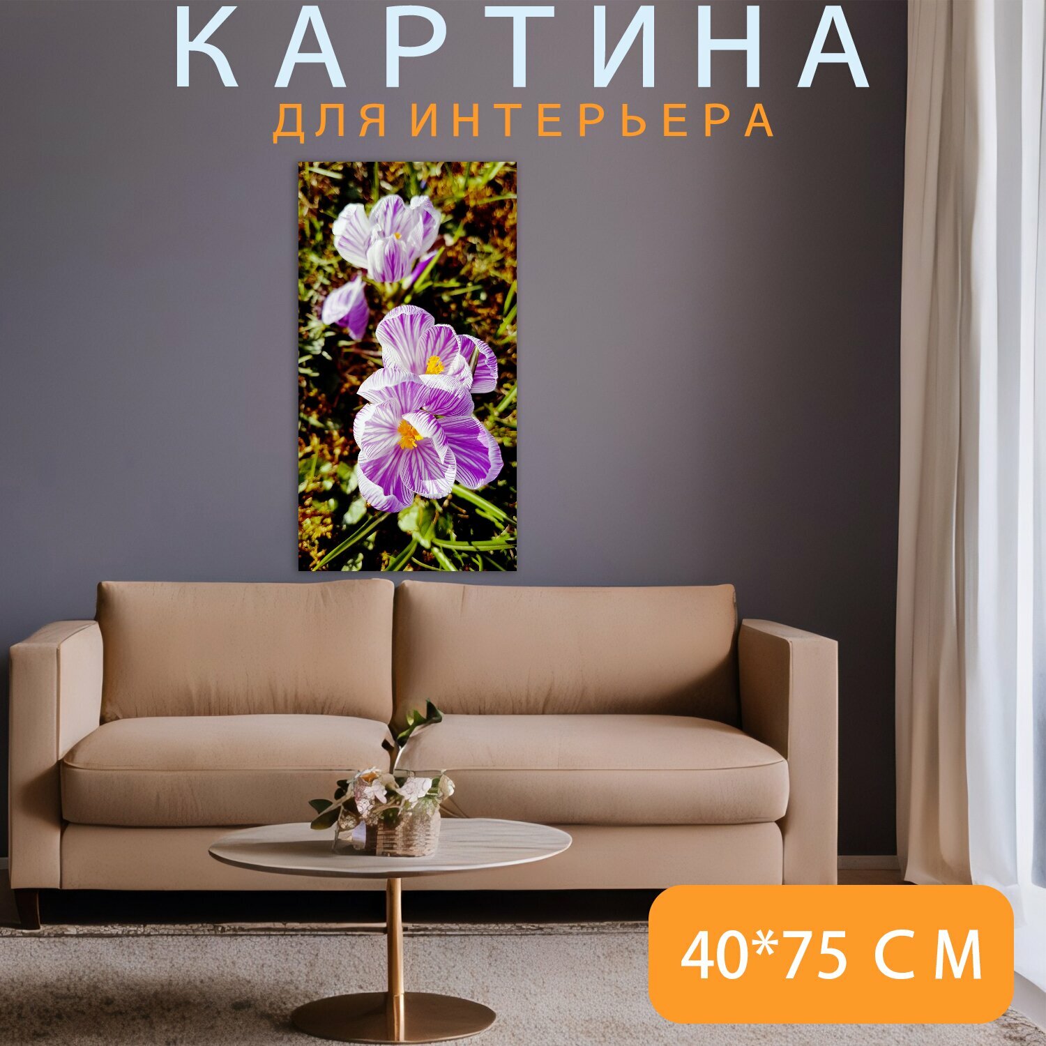Картина на холсте "Крокус, крокусы, весна" на подрамнике 40х75 см. для интерьера