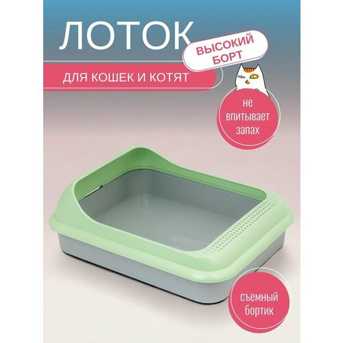 Лоток для кошек с зеленым бортиком(45х35 h16см) туалет для животных