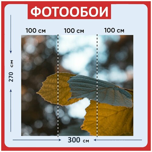 Фотообои Листья зеленый лес 300x270 см флизелиновыена стену 3930₽