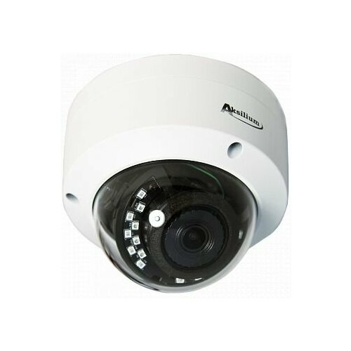 IP-камера видеонаблюдения Aksilium IP-502 FPA 28 2D SD Alm 5МП уличная купольная POE аудио SD тревога облако Danale 697500₽