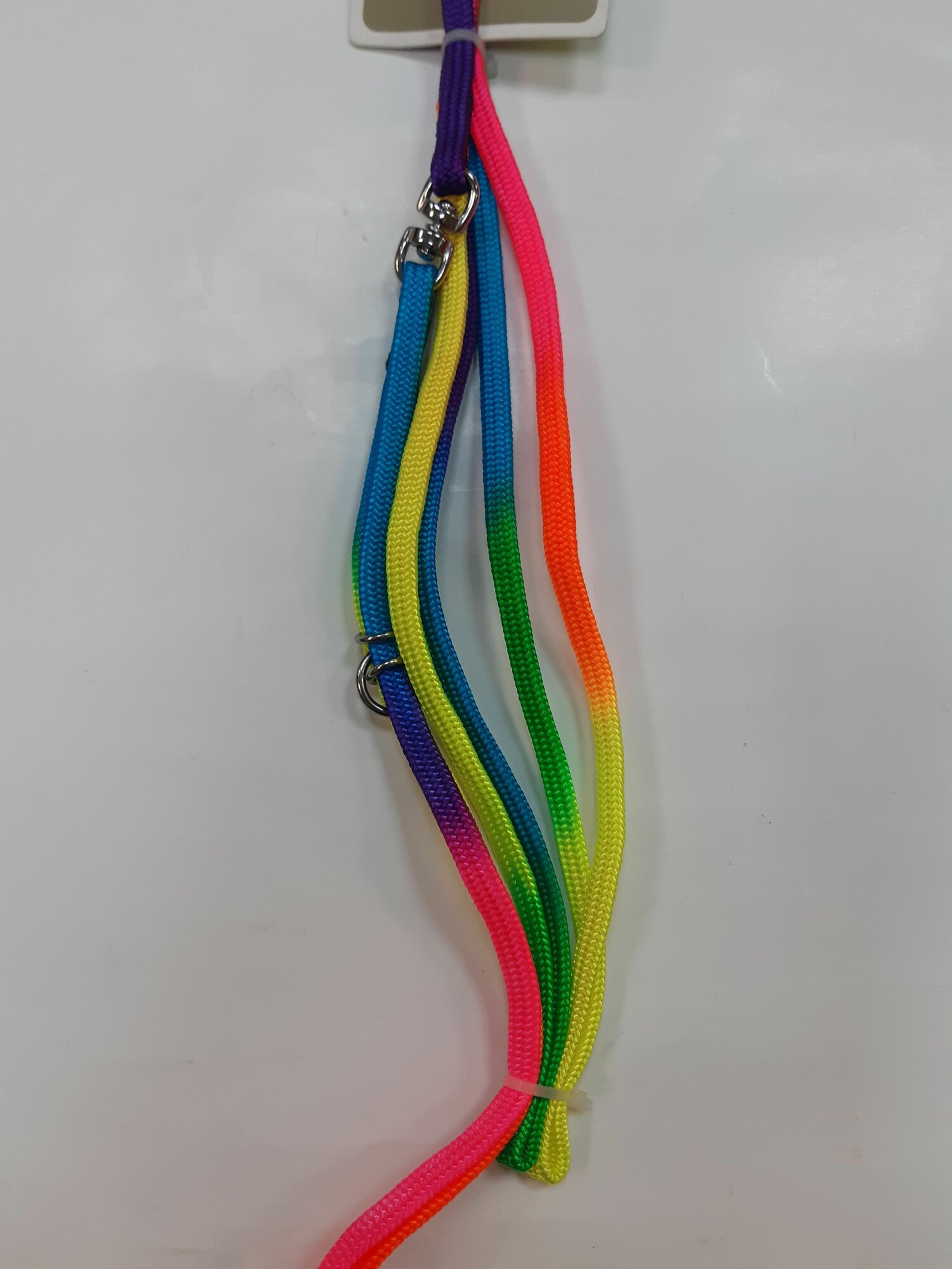 Ринговка "Радуга" капрон ширина 5 мм выставочная для собак