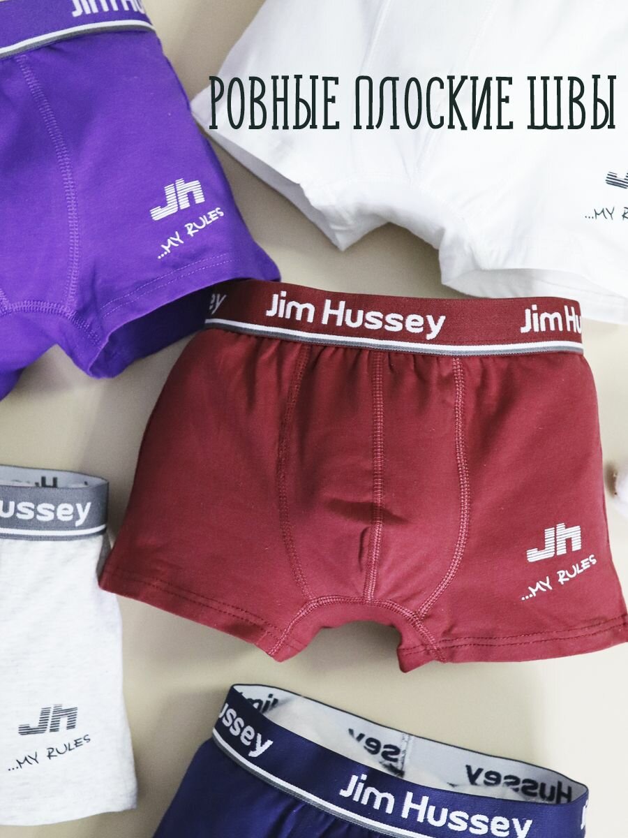 Трусы Jim Hussey, 5 шт., размер 99-110 (4-5) L, фиолетовый — фото 1