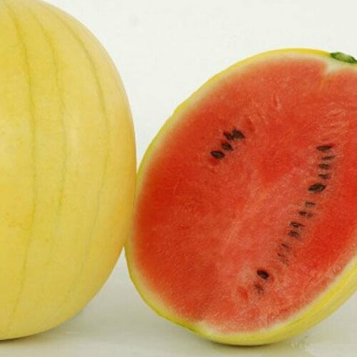 Семена Арбуз F1 Янтарный 232₽