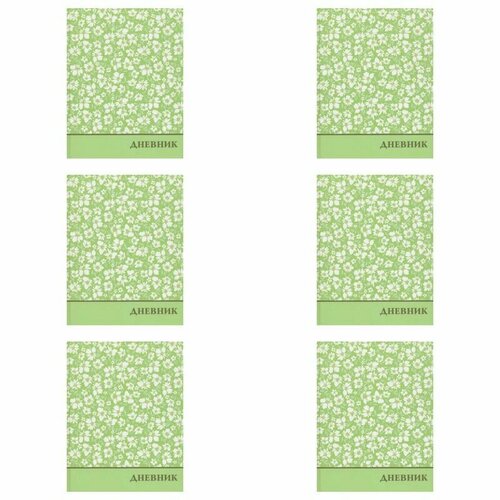 Глобус Дневник школьный 1-11 класс Цветы 40 л 6 шт 980₽