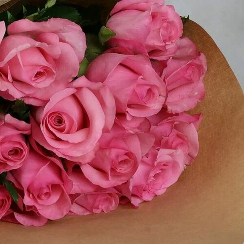 Изображение товара Букет живых цветов из 15 розовых роз, 40 см, от Букет Маркет