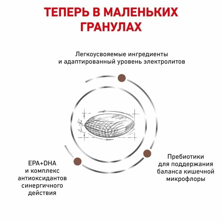 Сухой корм для собак мелких пород Royal Canin Gastrointestinal Small Dog Low Fat при нарушениях пищеварения, 1 кг — фото 1