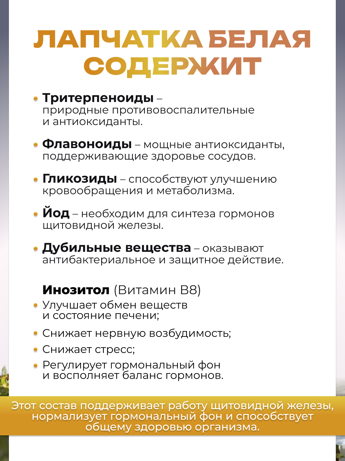 Изображение Лапчатка белая в капсулах для щитовидной железы